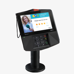 ingenico pin pad